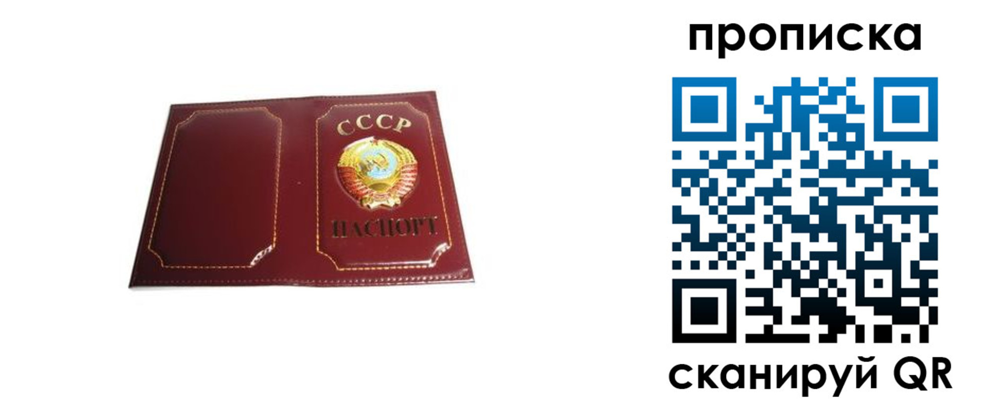 прописка гарантия в Боровичах